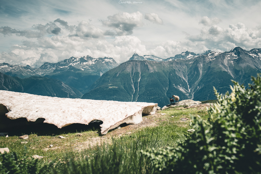 Auf dem Weg zur Fiescheralp