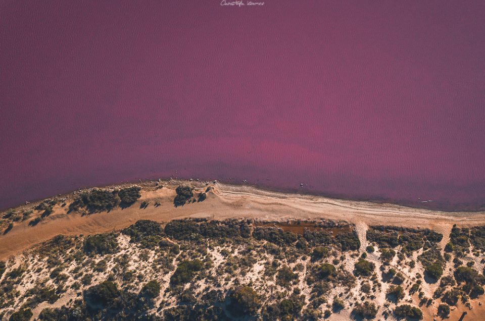 Pink Lake – Hutt Lagoon