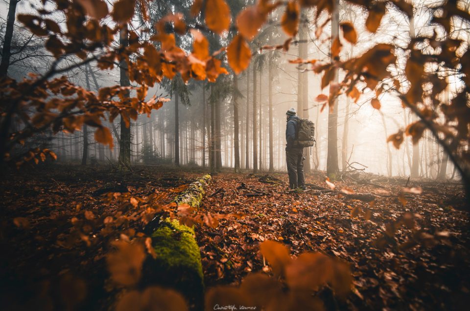 Wandern im Hafenlohrtal